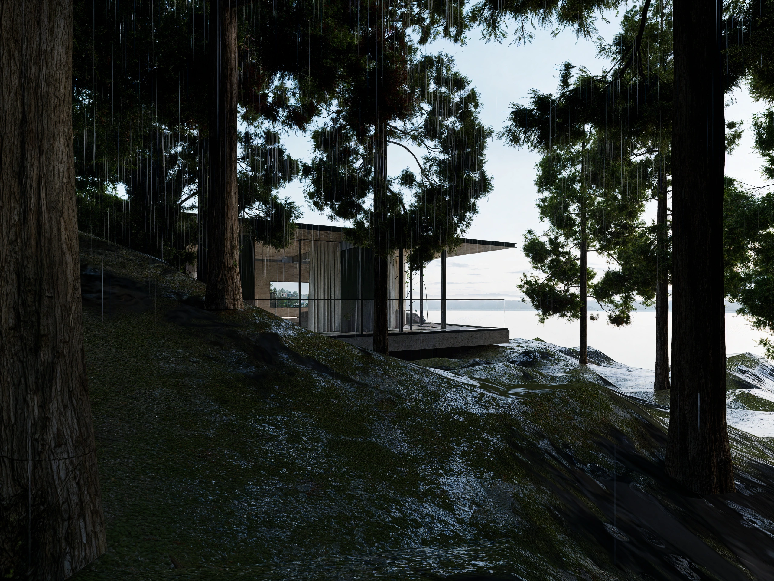 PNW Residence / 西北居所