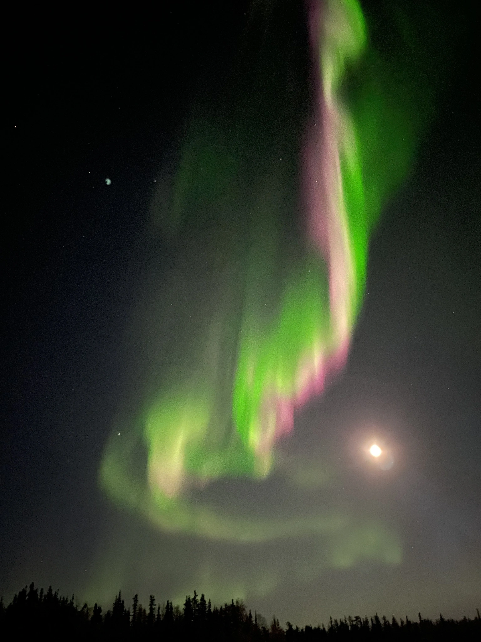 Pink and green aurora beside moonlight.