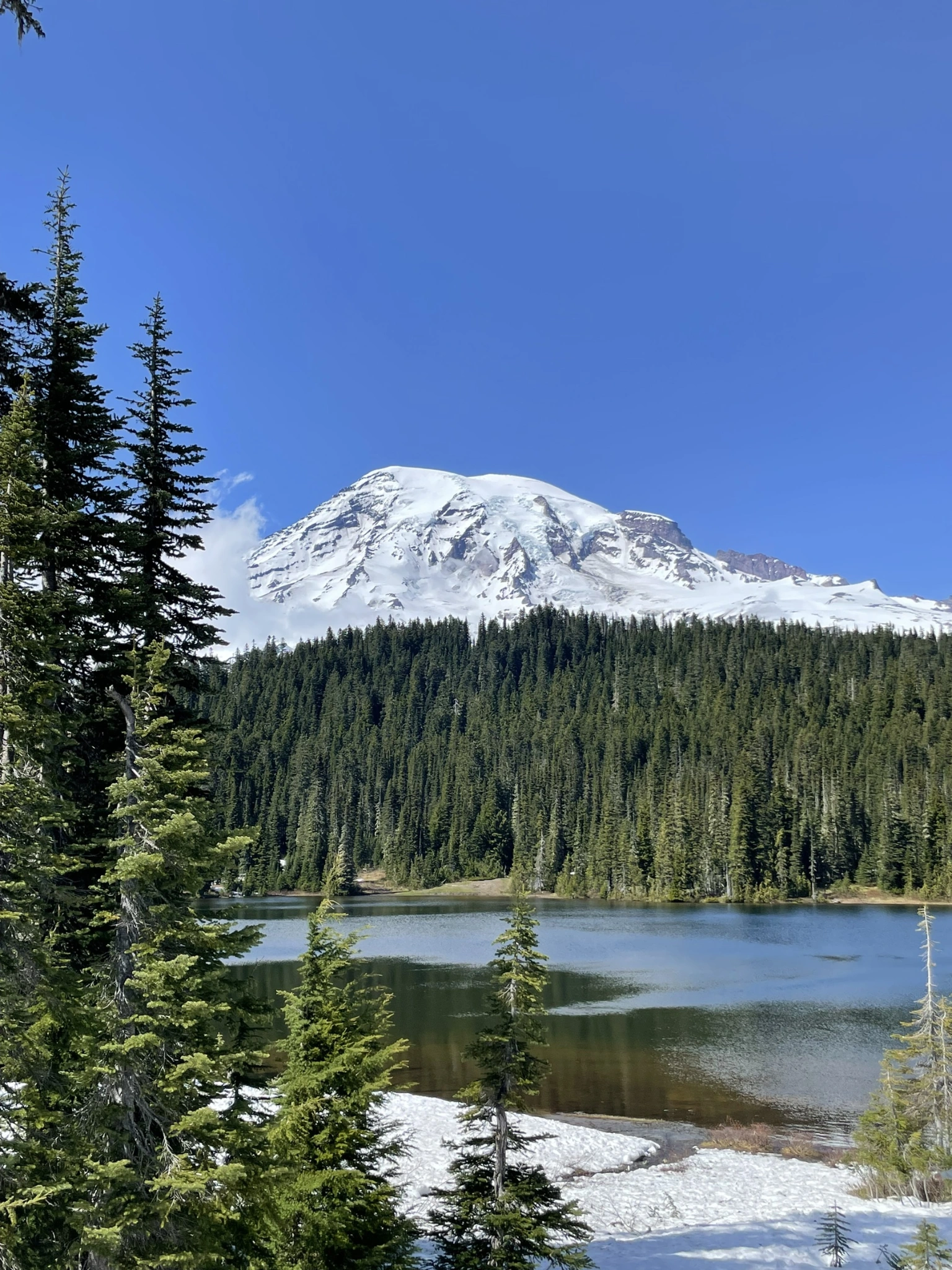 Mount Rainier, woodland and lake.