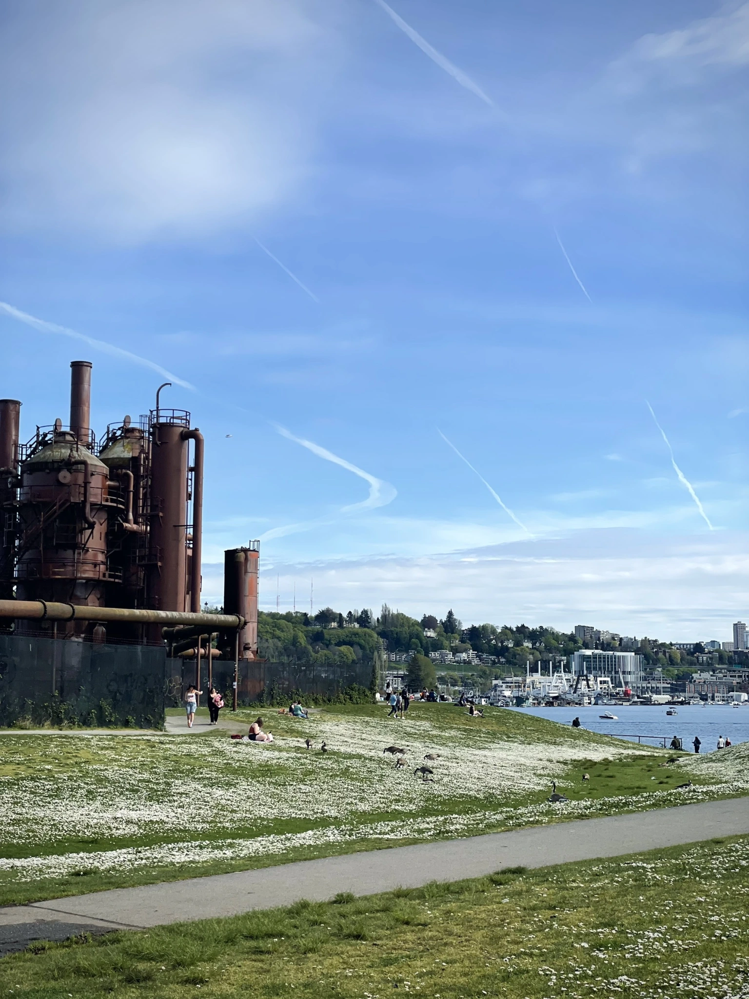 Gas Works Park:工業遺構、草地與湖岸生活。